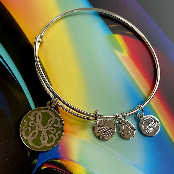 Alex and Ani Path of Life® Silver Bracelet - Picture 1 of 4